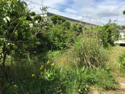 庭の雑草対策に効果的な4つの方法