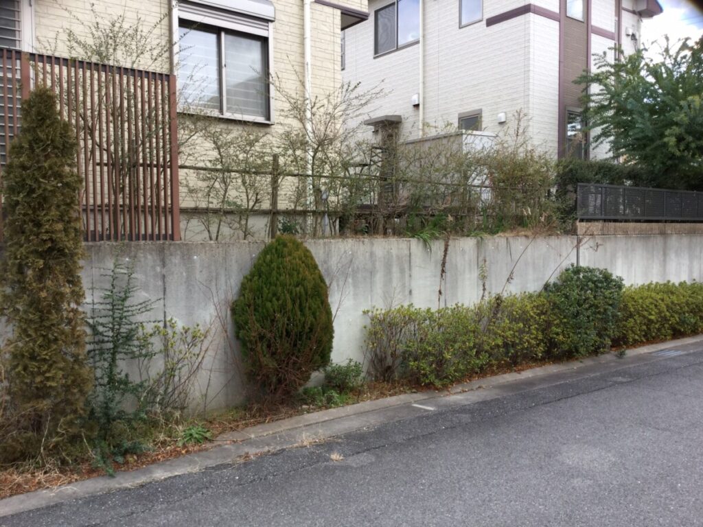 道路際の植栽スペースの様子