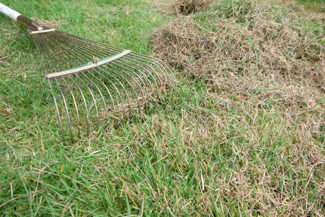 庭の雑草対策に芝生は効果的 芝生に雑草が生えにくくする3つの対策