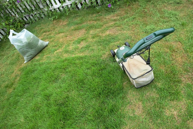庭の雑草対策に芝生は効果的？芝生に雑草が生えにくくする3つの対策