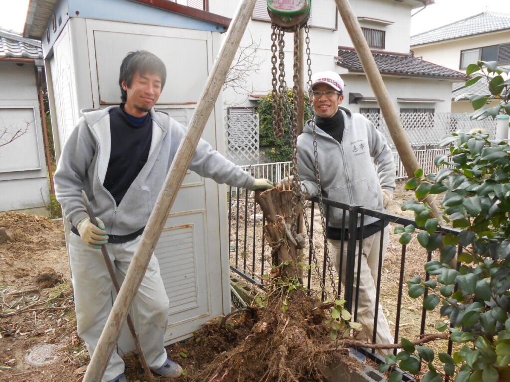 上牧町の庭リフォームで行った植木の伐採と抜根作業