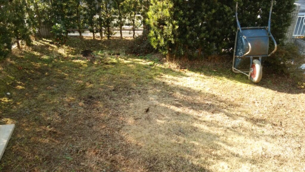 施工前の水はけが悪く雑草の生えやすい状態のお庭
