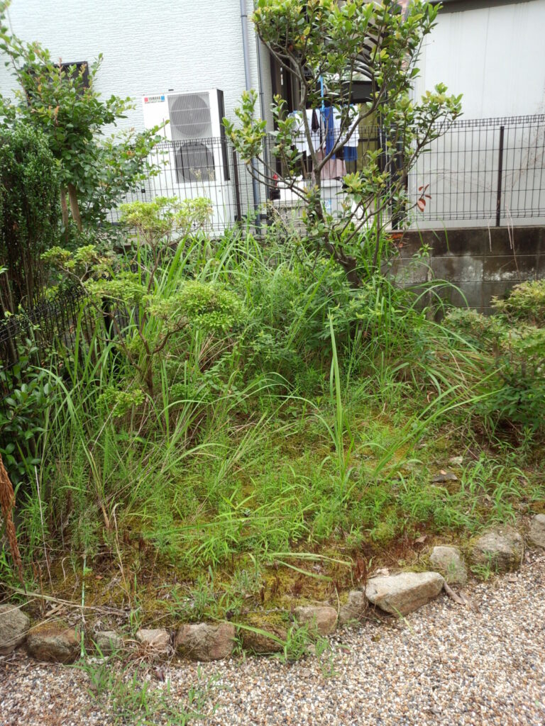 雑草がびっしりと生え湿気がこもった施工前のお庭