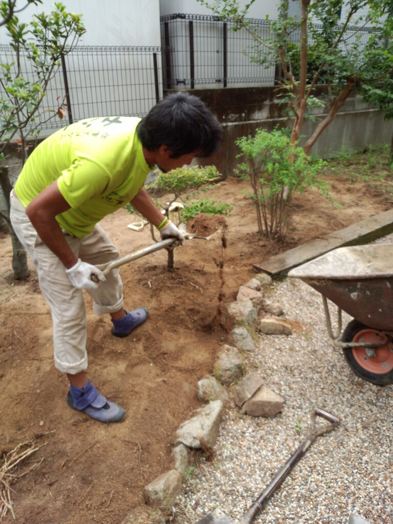 イネ科雑草の根を地中から徹底的に取り除く抜根作業