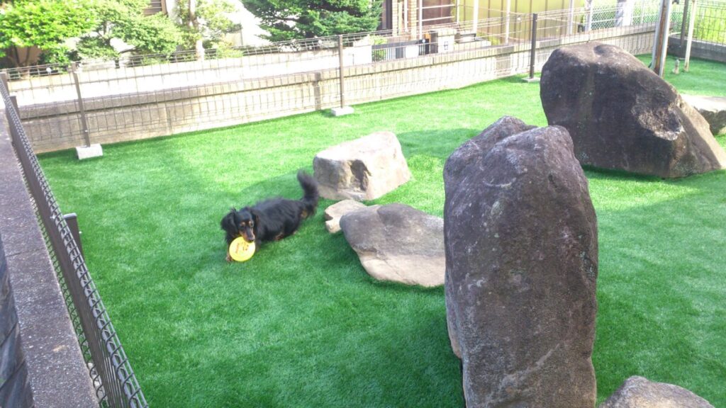 愛犬が思い切り走り回れる人工芝のドッグラン施工後