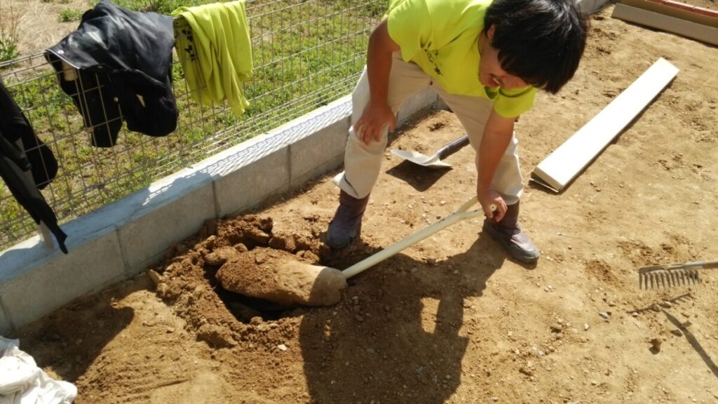 砂利撤去後に地表に現れたゴツゴツとした大きな石