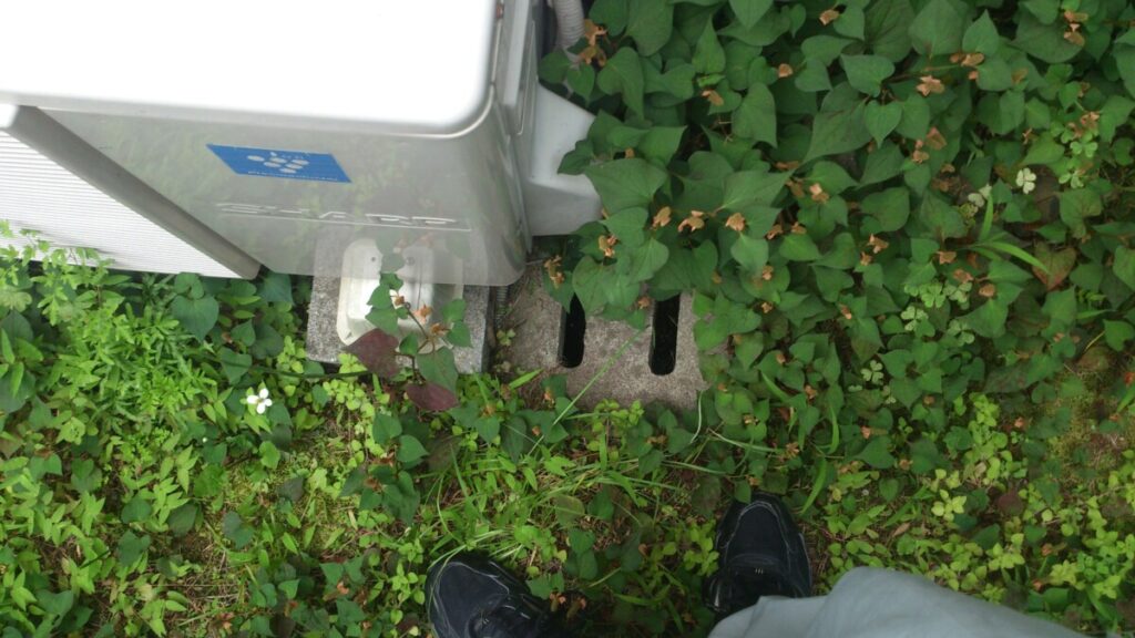 排水会所が落ち葉や土で埋もれてしまっている状態