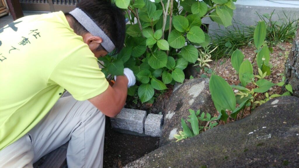 コンクリートの隙間など防草工事をしていない部分に生えた雑草