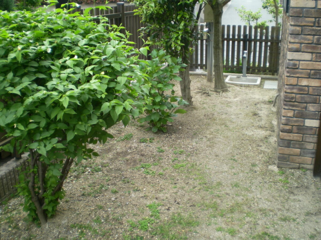 雑草が生えてきてしまう施工前の土の様子