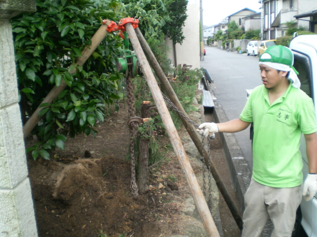 石垣が崩れないように1本ずつ丁寧に生垣を撤去している作業風景