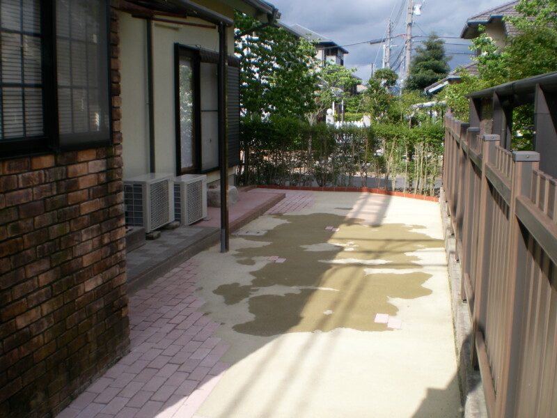 雨上がり後