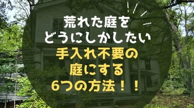 荒れた庭をどうにかしたい！庭木を減らして手入れのいらない庭にする6つの方法！