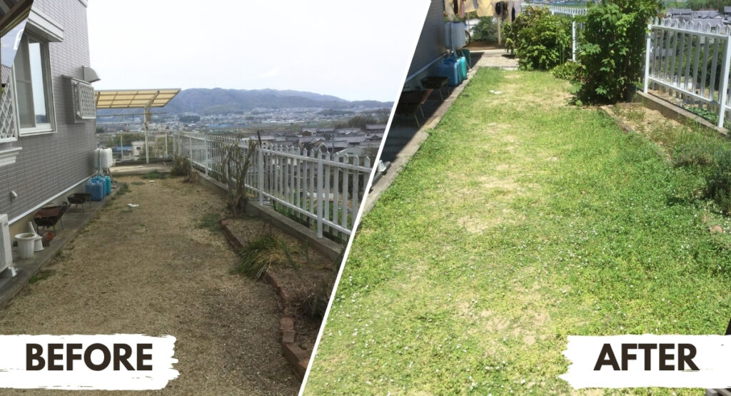 庭に雑草が生えないようにグランドカバーにしたビフォーアフター画像