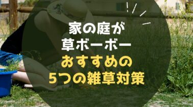 【家の庭が草ボーボー】なんとかしたい人におすすめの5つの雑草対策