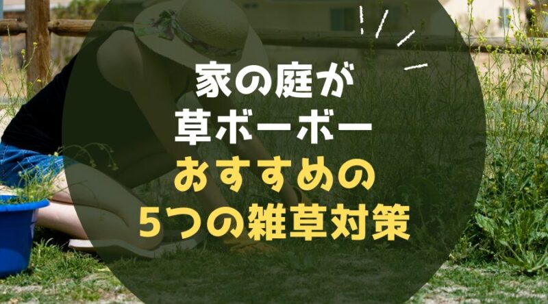 【家の庭が草ボーボー】なんとかしたい人におすすめの5つの雑草対策