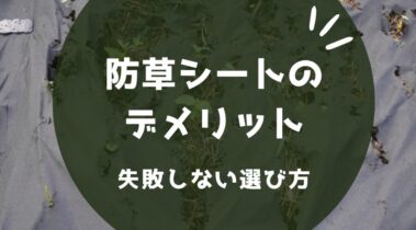 外構の防草シートの意外なデメリットとは？使う前に押さえておきたい注意点