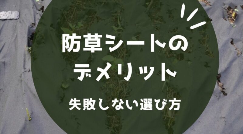 外構の防草シートの意外なデメリットとは？使う前に押さえておきたい注意点