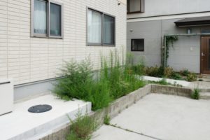 庭の虫の発生を減らす3つの方法