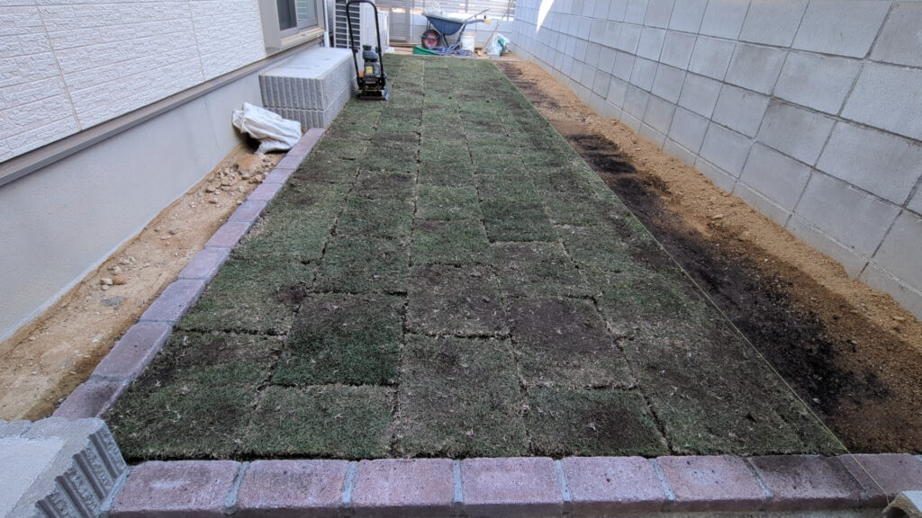 庭一面に張り終えた天然芝TM9を、家側から見たところ