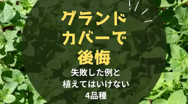 【グランドカバーで後悔】失敗した例と植えてはいけない4品種