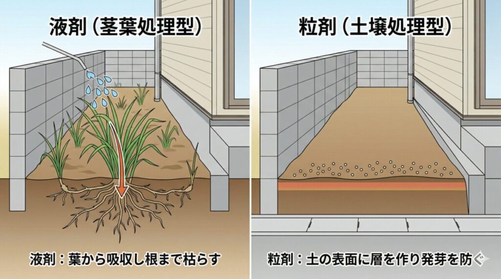 地上部を草刈りされても地中に長く伸びた地下茎に養分を蓄え、離れた場所から再び新芽を出すチガヤの生態を表した断面図