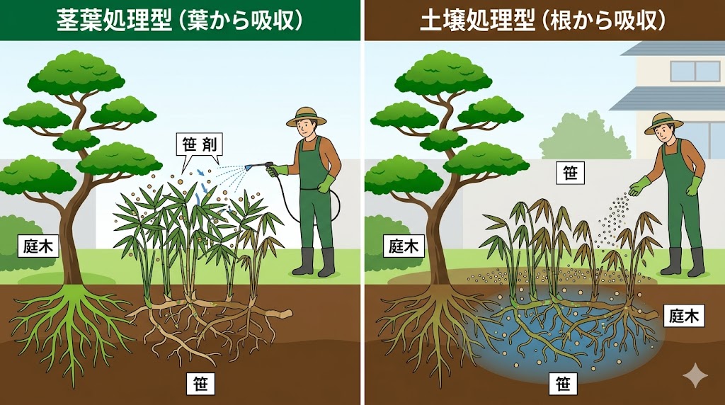 葉から吸収して根を枯らす茎葉処理型と、土から吸収して枯らす土壌処理型の除草剤の違いと庭木へのリスクを表した比較図解
