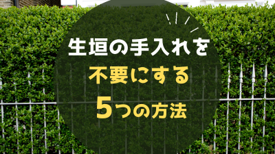 生垣の手入れを不要にする5つの方法|手間のかからない生垣でおすすめの種類もご紹介