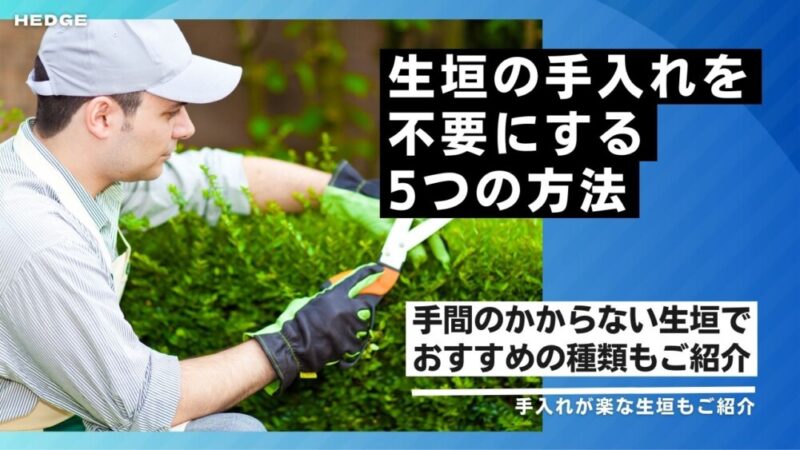 生垣の手入れを不要にする5つの方法｜手間のかからない生垣でおすすめの種類もご紹介
