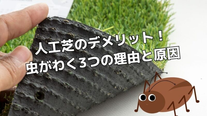 人工芝のデメリット！虫がわく3つの理由と原因【ゴキブリやムカデなどの害虫対策】