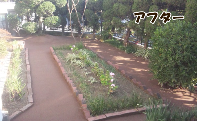 固まる土で雑草対策をした施工後。落ち葉掃除が楽になったお庭