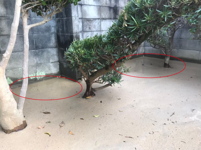 市場 マサファルト 防草土 雑草を生えなくする方法 舗装材 庭