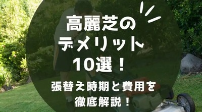 高麗芝のデメリット10選を徹底解説！