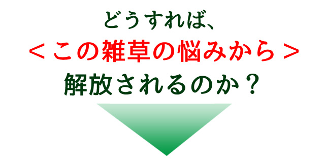 どうすれば雑草の悩みから解放されるのか?