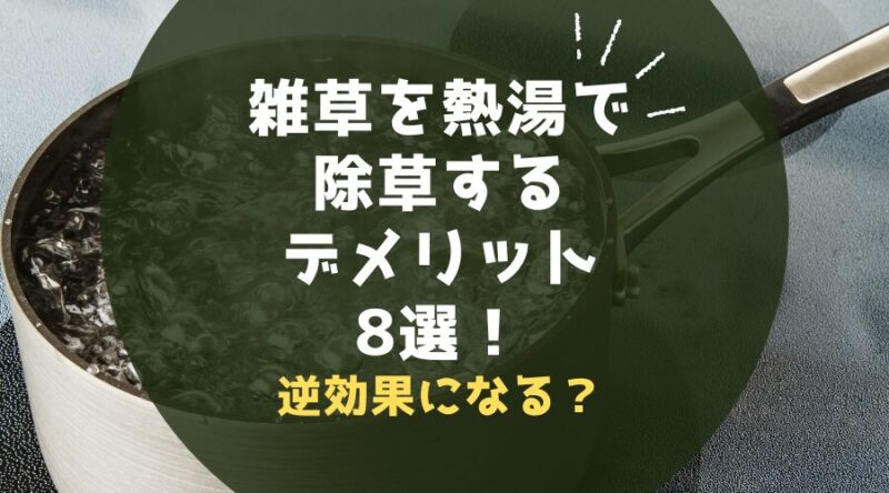 雑草に熱湯で除草するデメリット8選！逆効果になる？