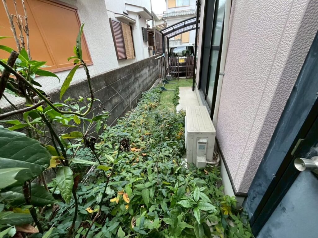 家屋とブロック塀に挟まれた細長い通路で、人工芝の上まで雑草が広がっている施工前写真