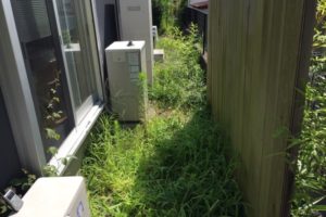 庭の雑草対策に効果的な4つの方法