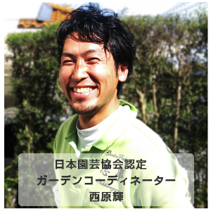 otouto2