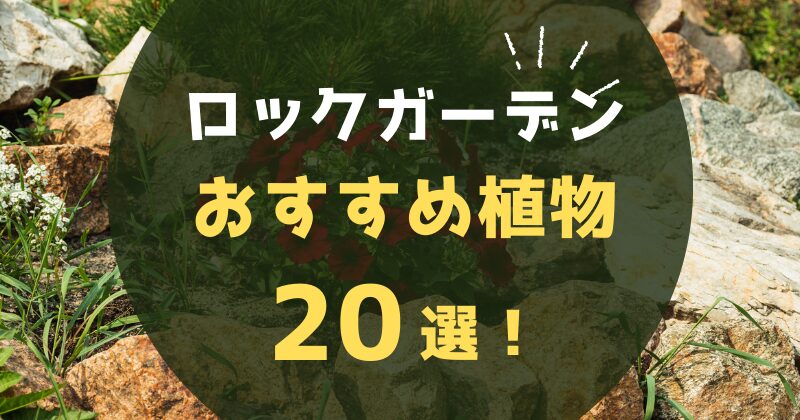 ロックガーデンにおすすめの植物20選｜おしゃれな種類の選び方や植栽方法！