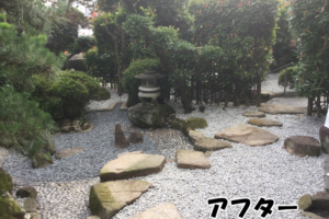 雑草だらけの庭を 子供が遊べる庭にする方法 雑草だらけの庭を 子供が遊べる庭にする方法