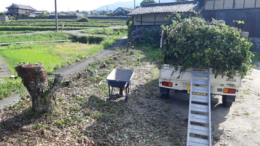 植木の処分