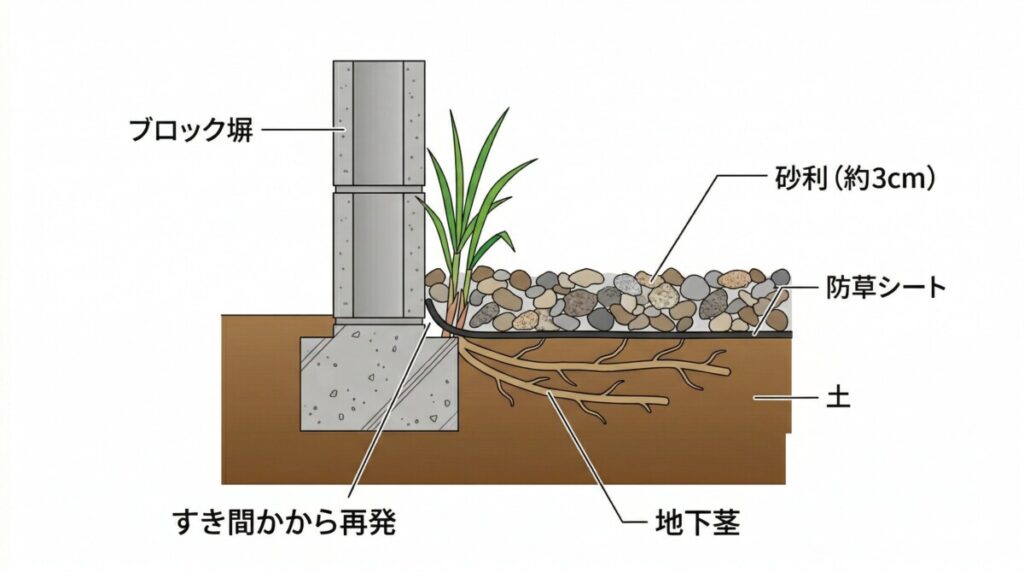 防草シートと砂利を敷いた庭で、隣地境界のコンクリートブロック塀とのわずかな隙間からチガヤの地下茎が回り込んで発芽する様子を描いた断面図