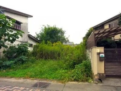 雑草の駆除を簡単に行う3つの方法とやってはいけない庭の雑草対策4選